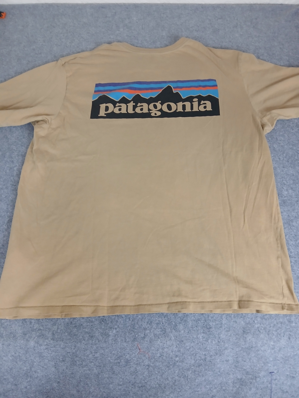 Patagonia Short Sleeve Tee in Tan with Multicolor Logo